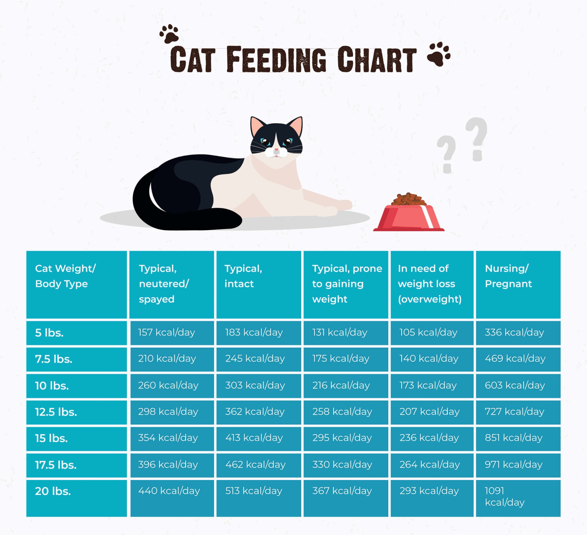 How Much Do I Feed My Cat?