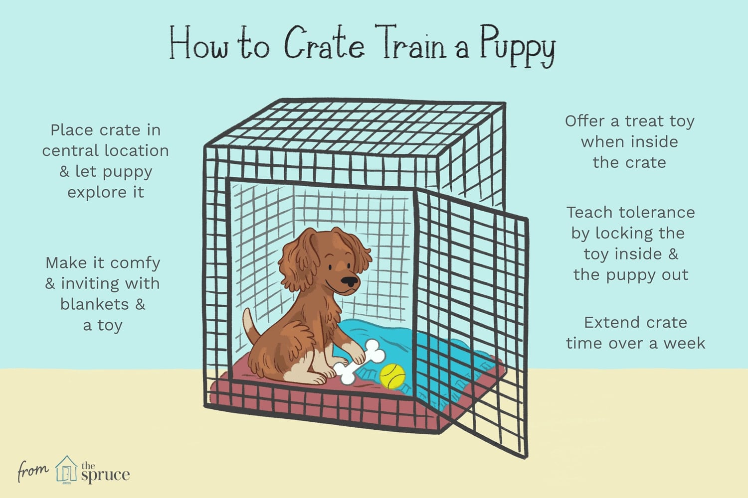 How to Puppy Train Your Puppy