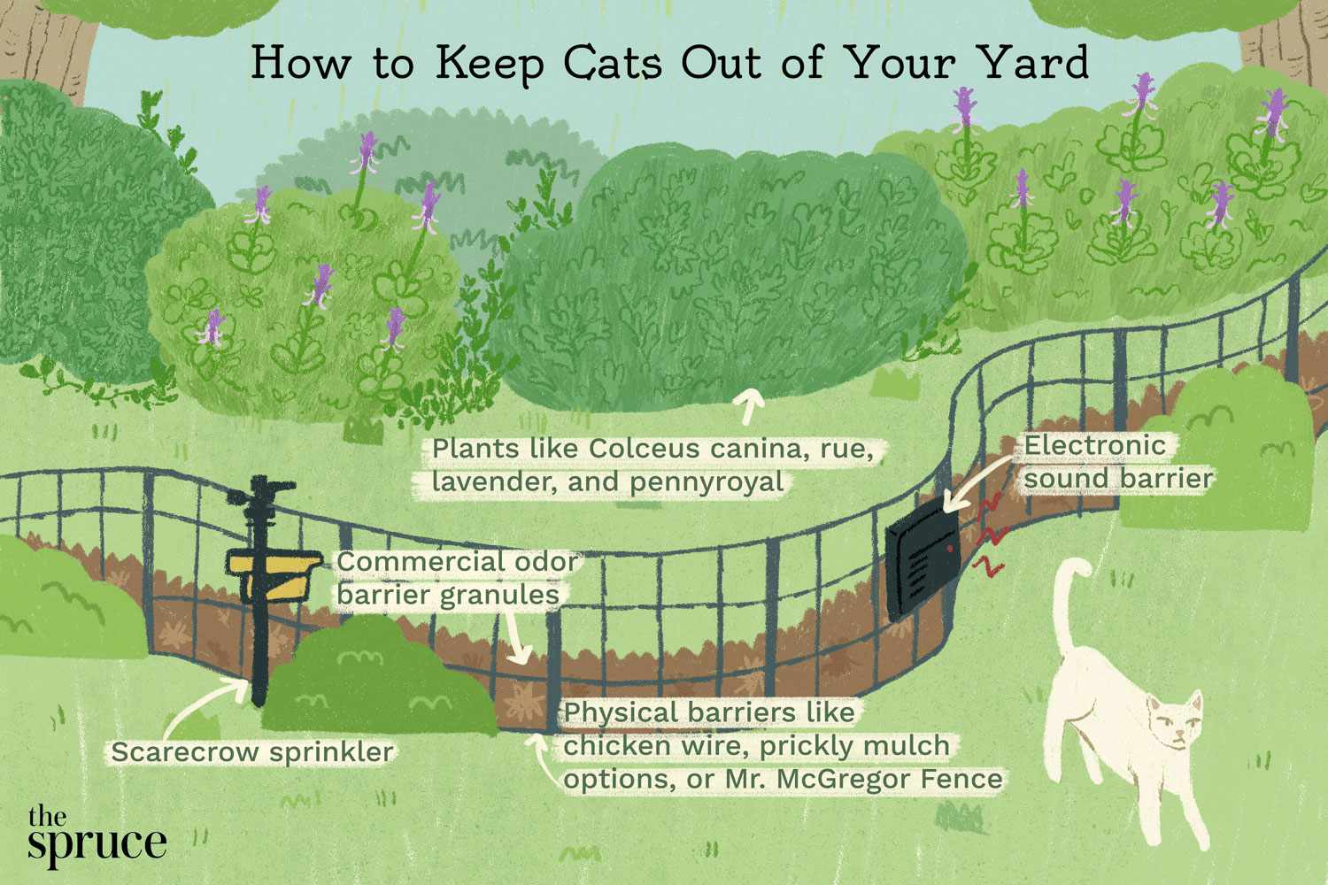 How to Stop Cats from Pooping in Your Yard: