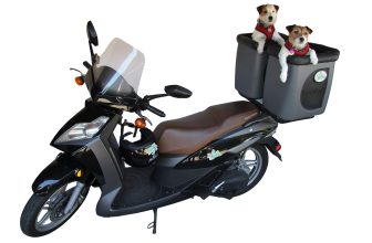 Motor Scooter Dog Carrier