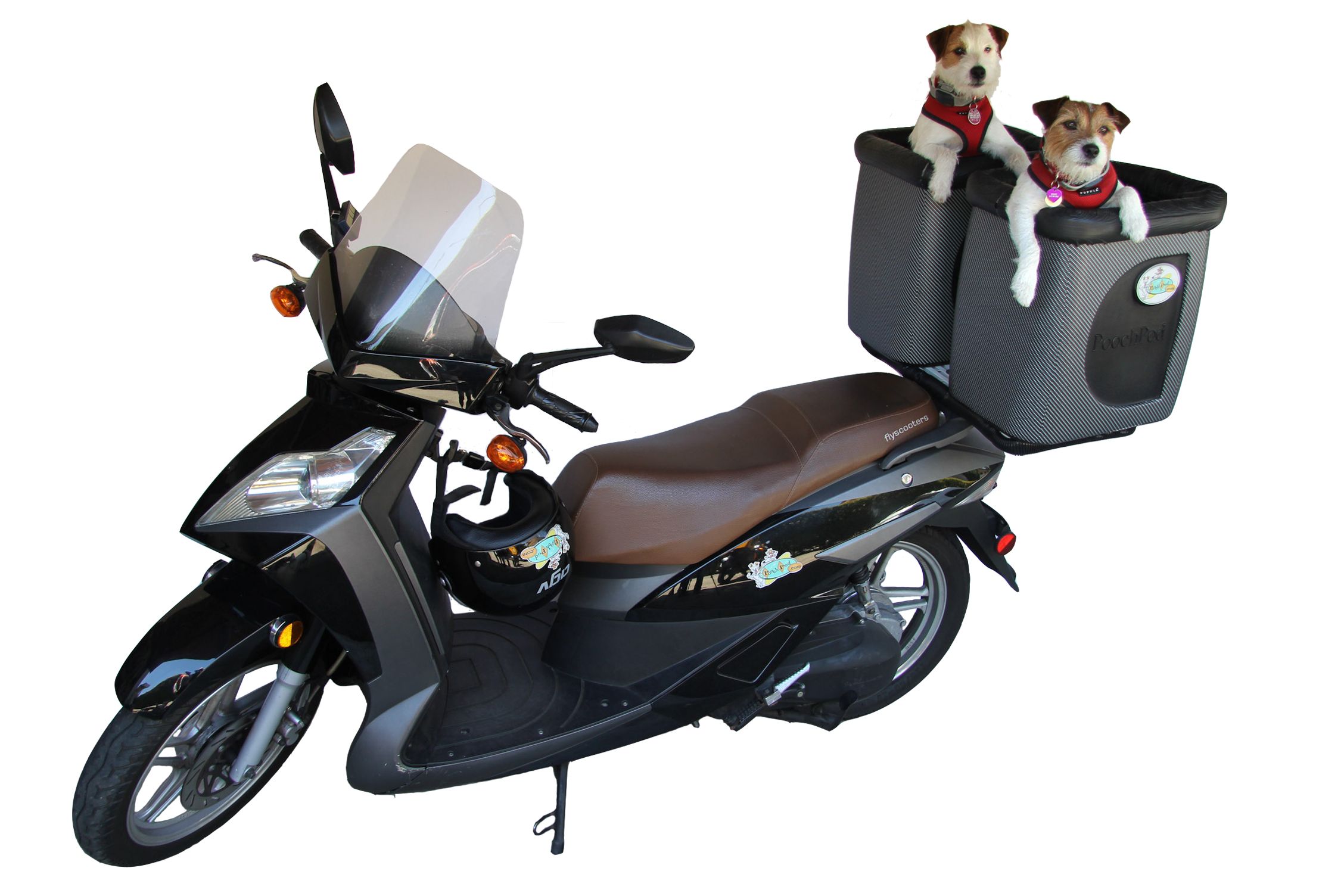 Motor Scooter Dog Carrier