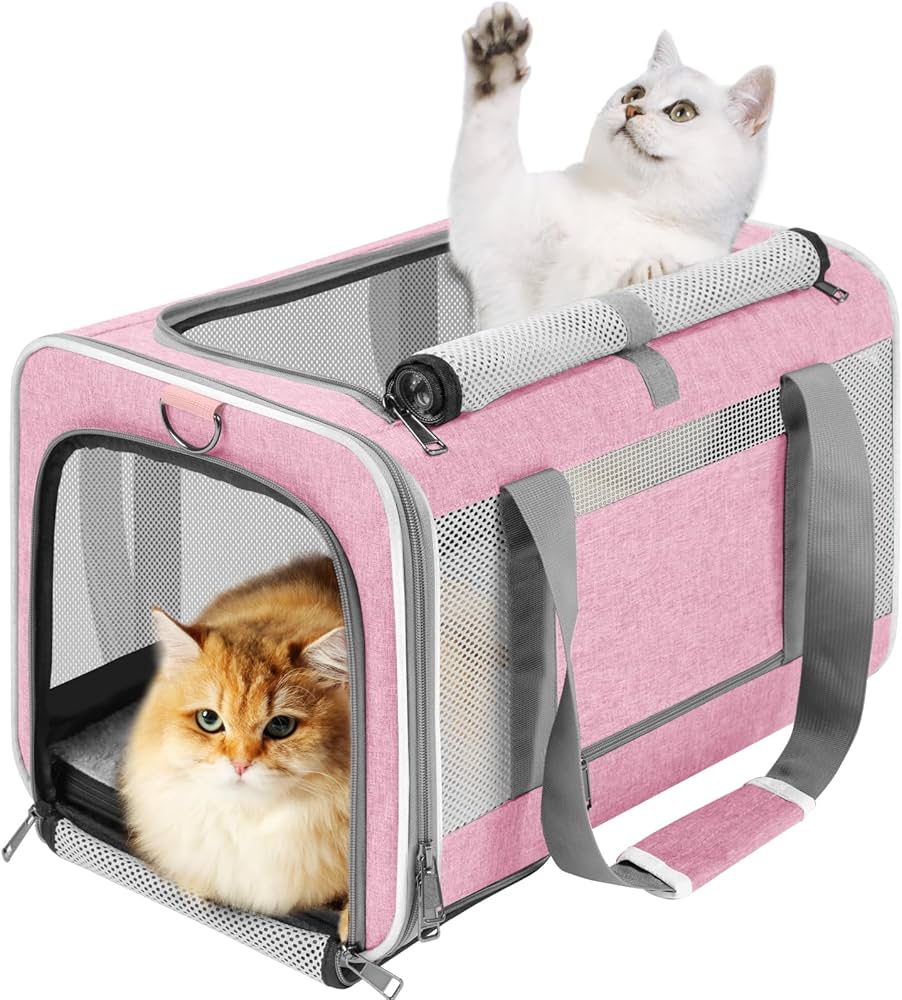 Open Top Cat Carrier Essentials