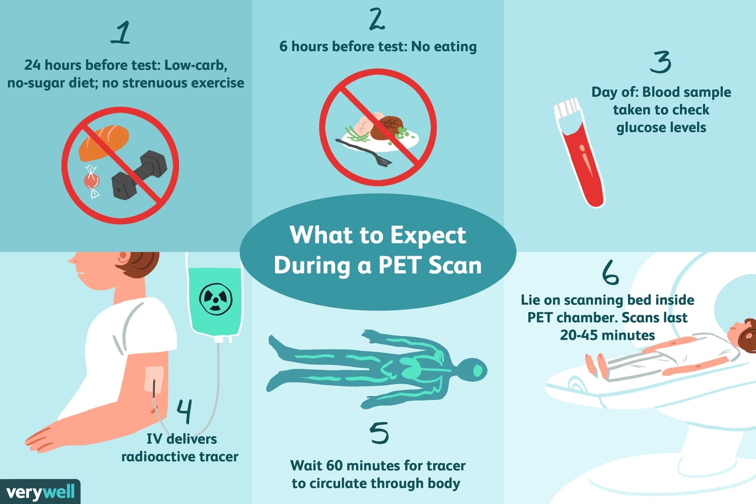 Pet Scan How Does It Work