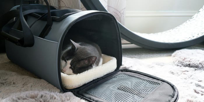 Best Pet Carrier for Cats