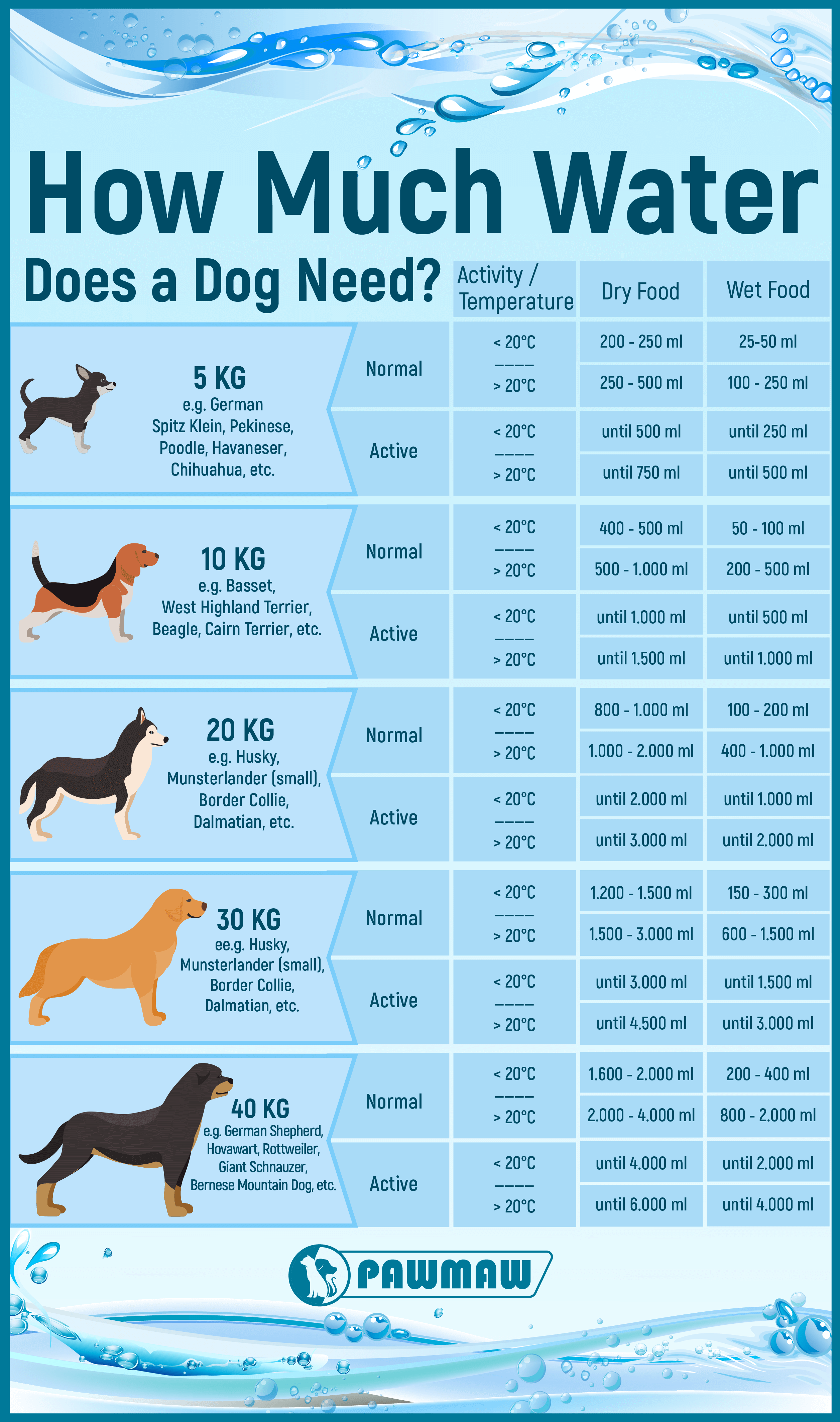 How to Get My Dog to Drink More Water