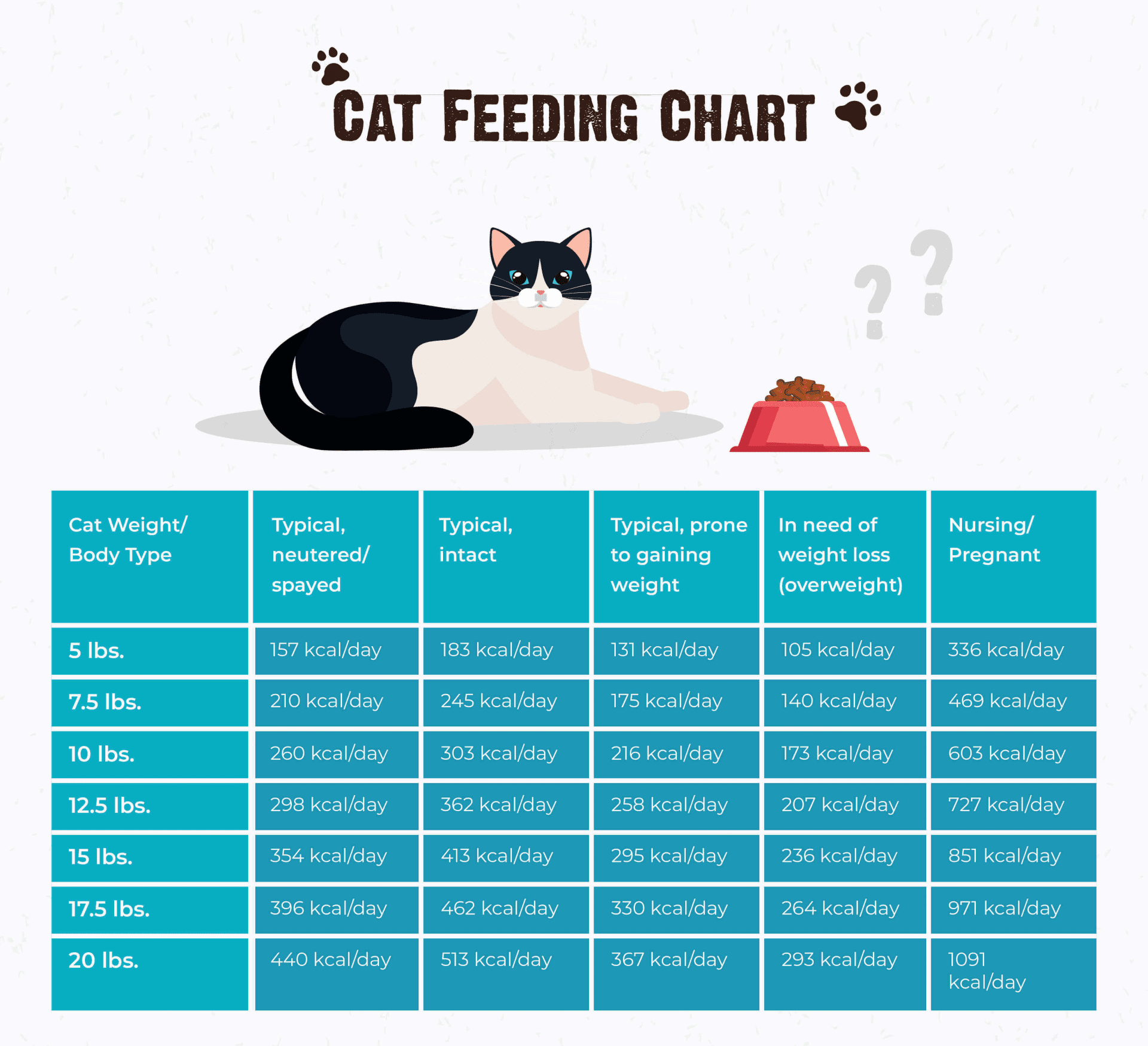 How Much My Cat Should Eat