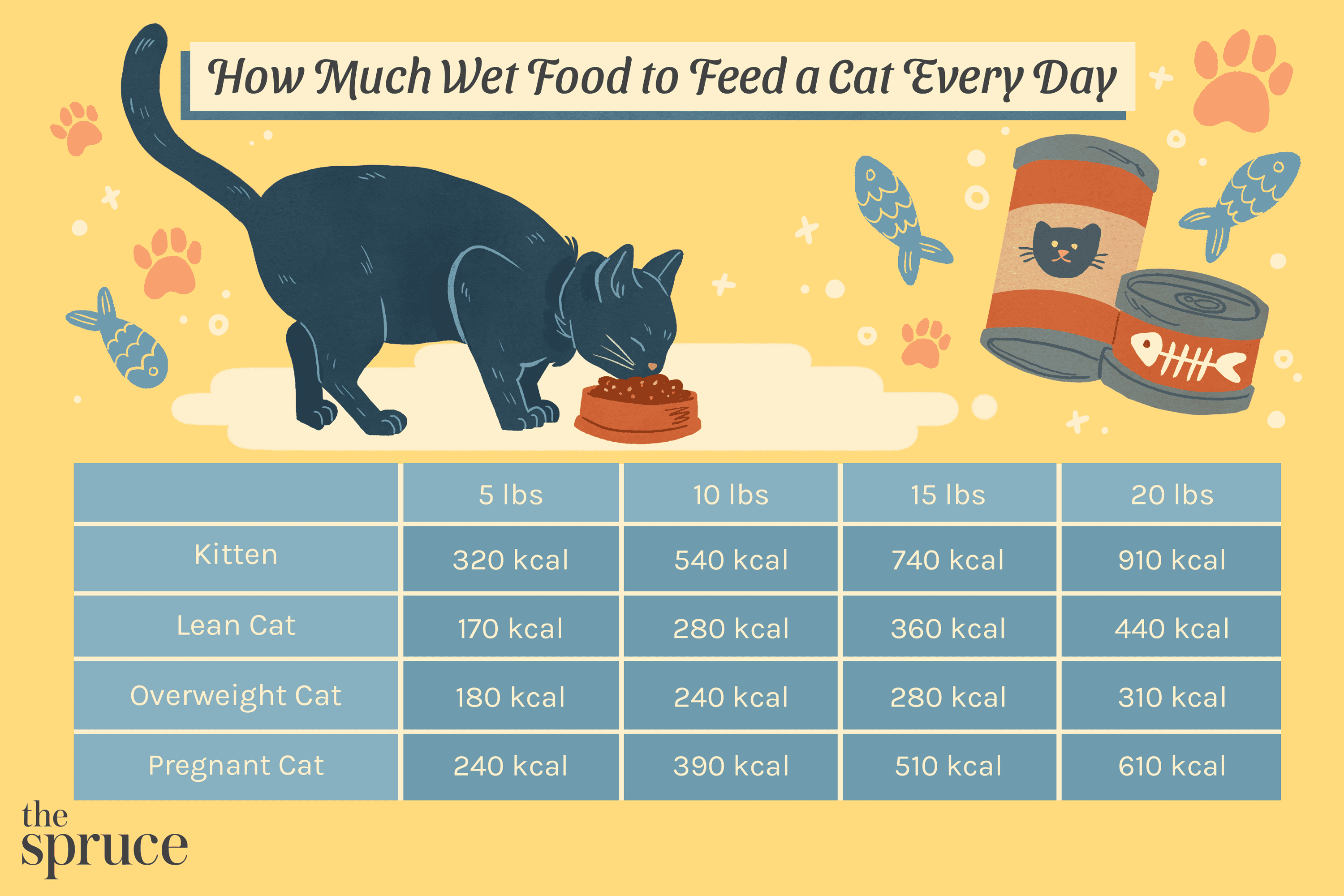 How Much Should a Cat Eat a Day