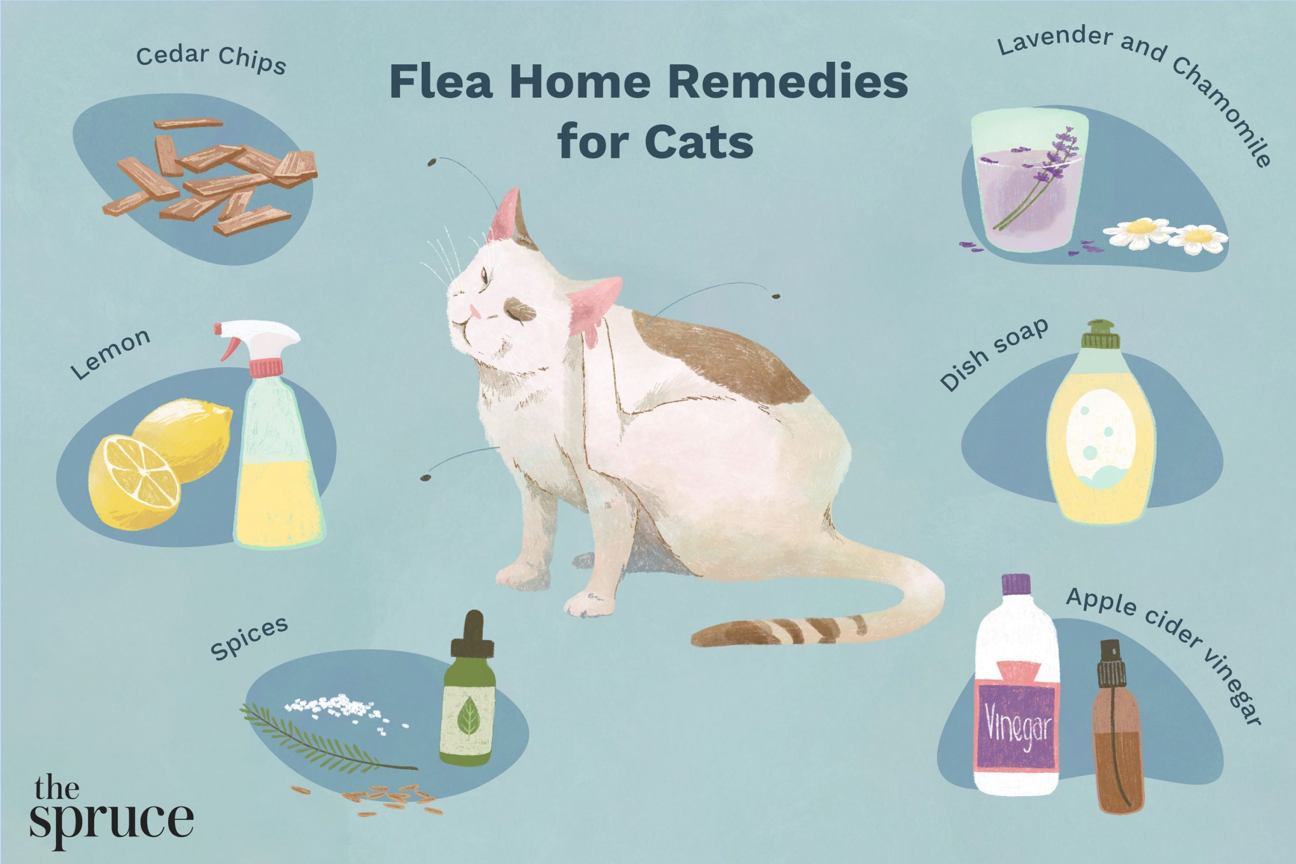 How to Get Rid of Fleas on Cats Without Bathing