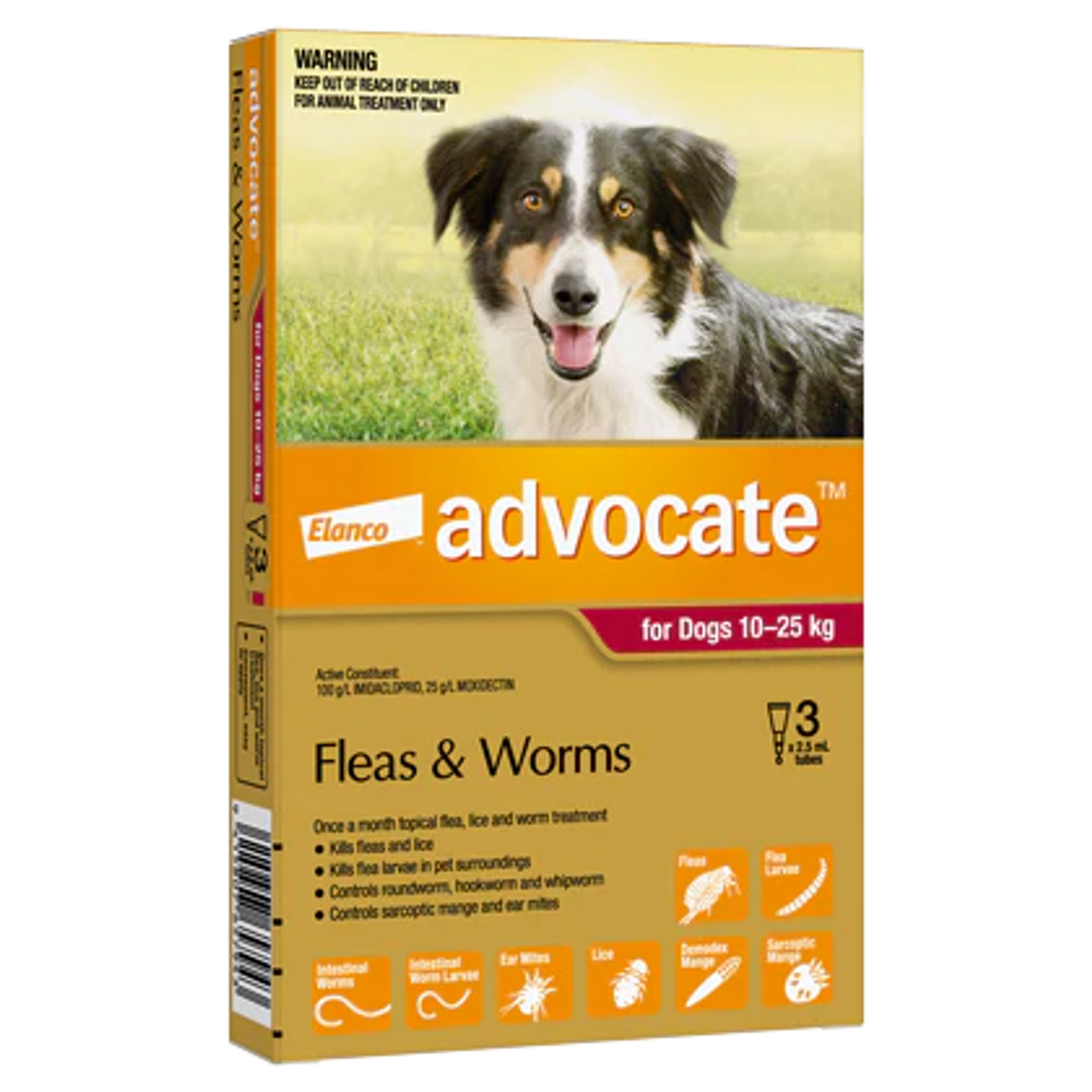 Puppy Flea And Worm Treatment