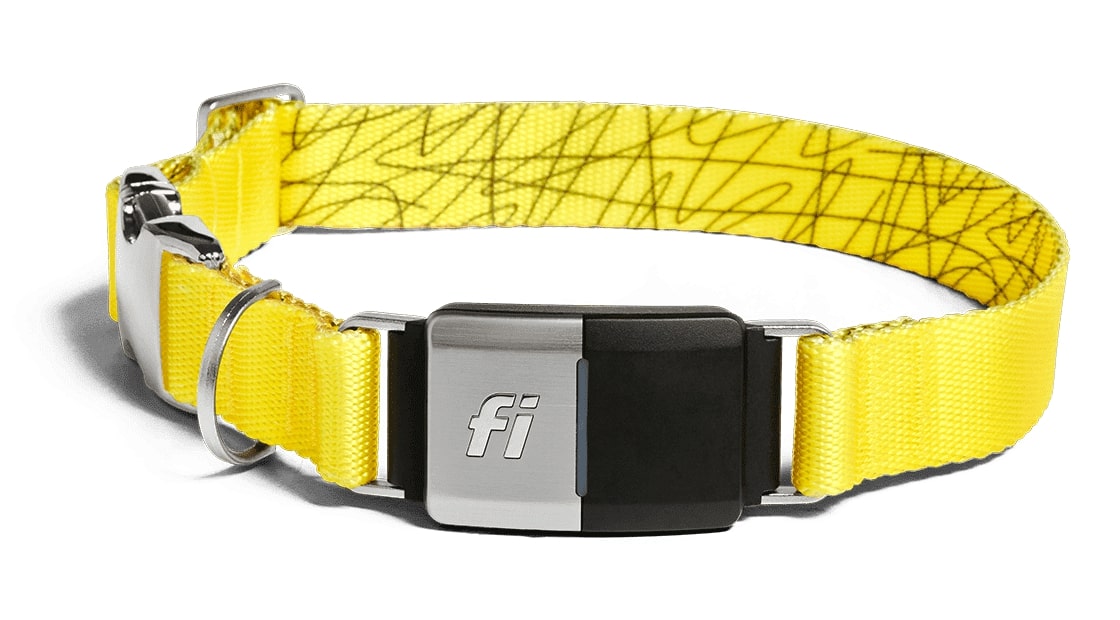 Trackable Dog Collar