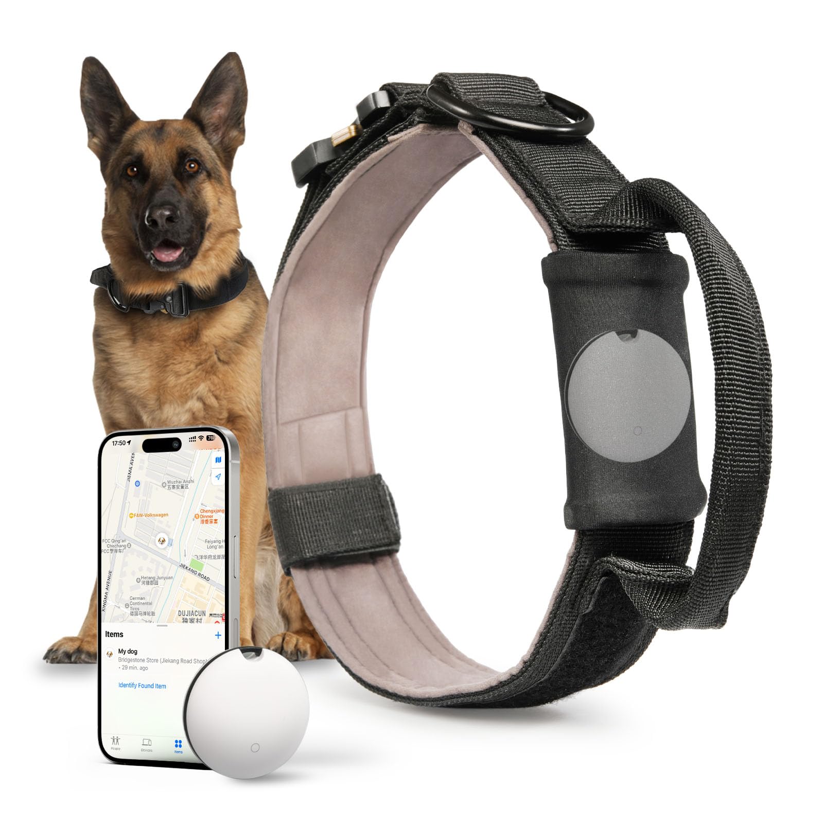 Trackable Dog Collar