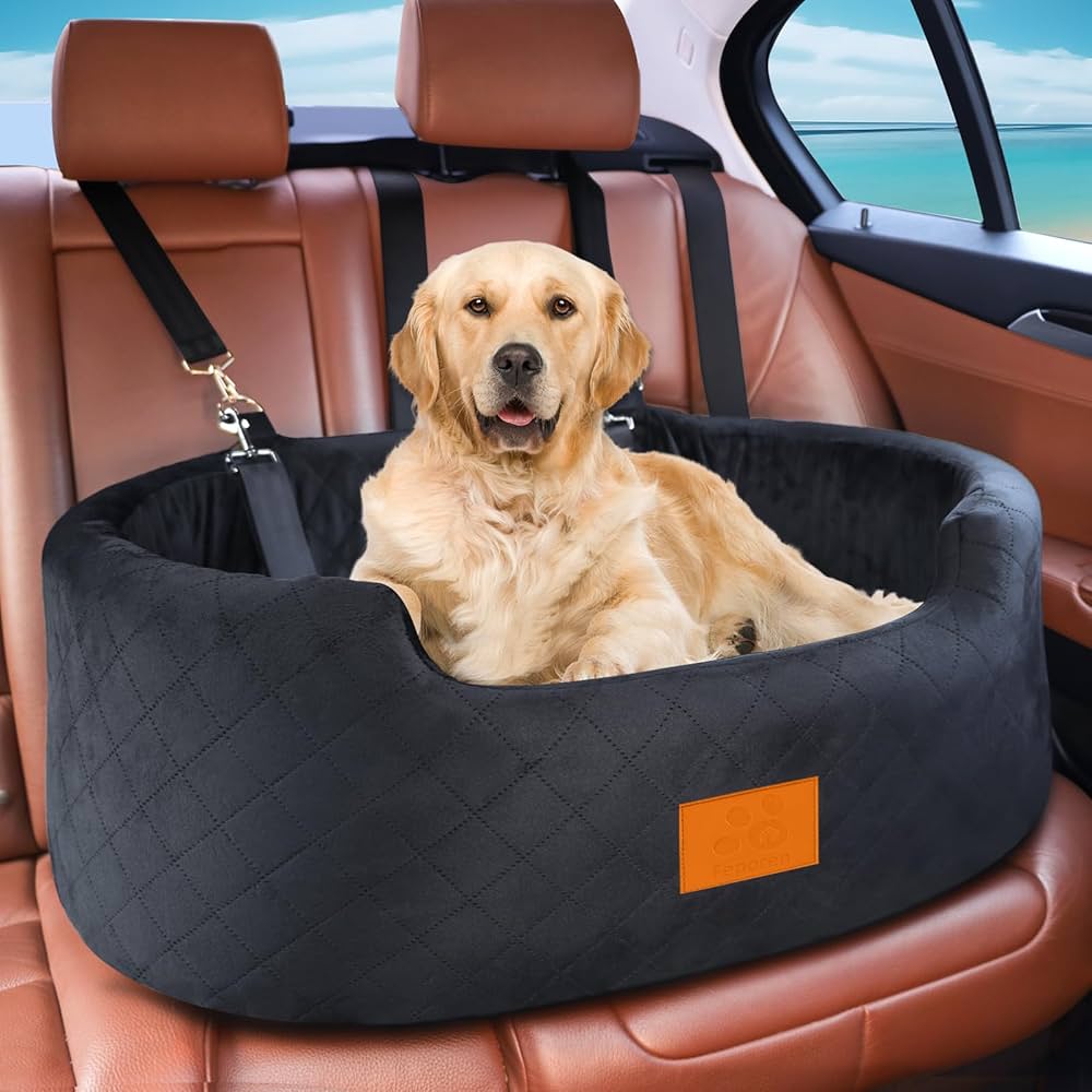 Why Use a Dog Car Seat?