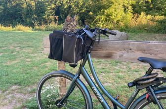 Cat Basket for Bicycle