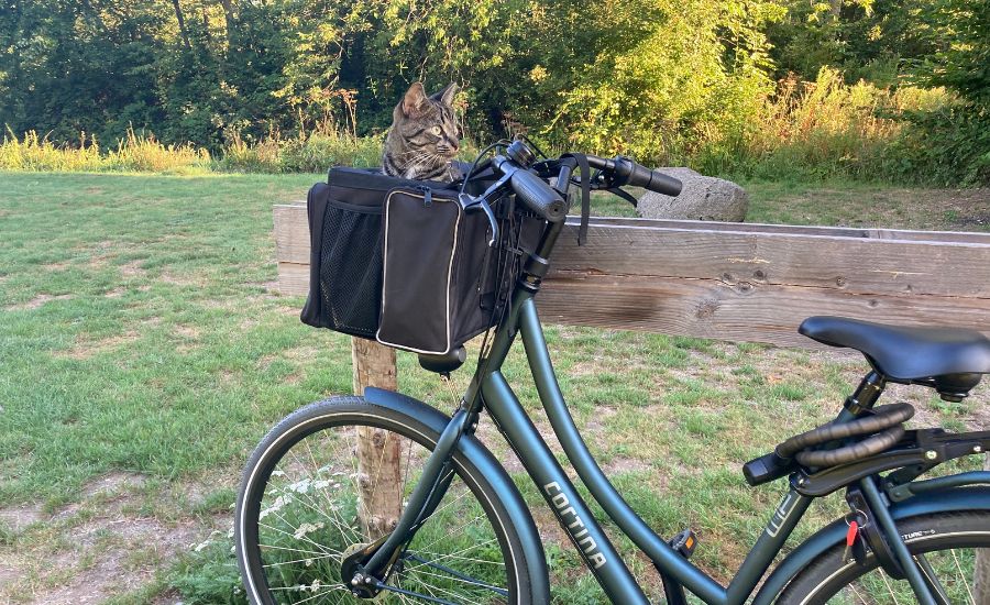 Cat Basket for Bicycle