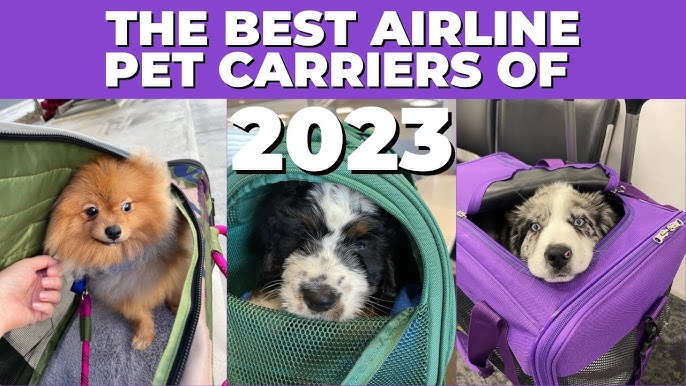 Pet Carrier for Flying