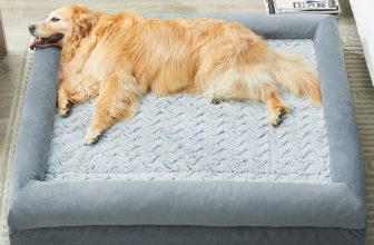 Couch Dog Beds for Large Dogs