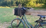 Cat Basket for Bicycle: Purr-fect Rides with Your Feline!