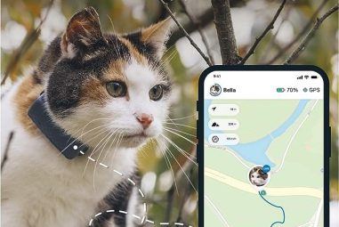 Smallest Cat Tracker: Ultimate Miniature Feline Finder!