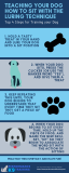 How Do You Teach a Dog to Sit: Quick & Easy Steps