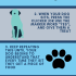 How Do You Teach a Puppy to Sit: Quick & Easy Guide