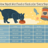 How Much Should My Cat Eat? Optimal Feline Feeding Guide