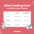 How Much Should a Cat Eat a Day? Optimal Feline Feeding