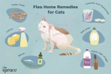 How to Get Rid of Fleas on Cats Without Bathing: Quick Tips