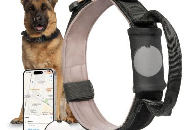 Trackable Dog Collar: Ensure Your Pet’s Safety!